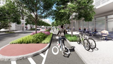 A rendering showing many people near large trees walking and on bicycles in a new bike lane.