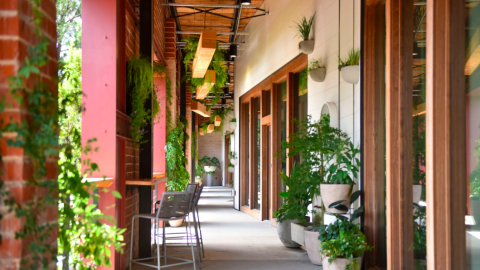 A photo of a modern-style building in Atlanta with open airy contemporary interiors and white walls.