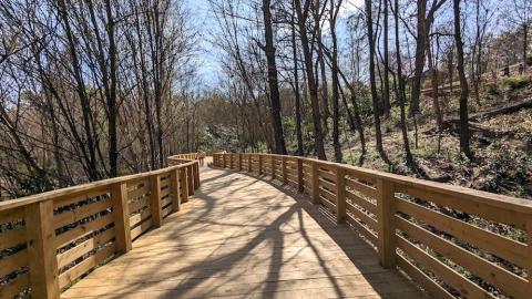 An image of a large wide boardwalk through a forest with bare winter trees in Atlanta near a creek. 