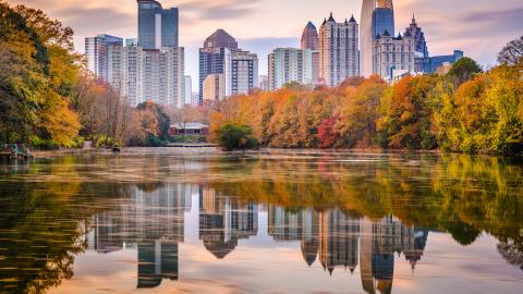 An image of a large park with a long city skyline next to it and many trees. 