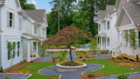 A photo of a new home subdivision with many white and light blue facades and white interiors with a japanese maple tree in the common area. 