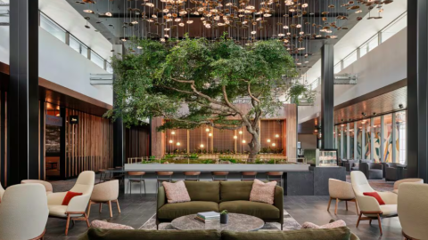 A large elegant room with a bonsai tree in the middle under unique modern lights at Atlanta's busy airport.