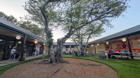 A photo of a low-slung shopping center with a courtyard and trees in the corner with a brewery and barbecue joint.