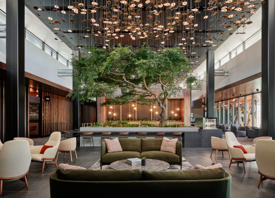 Atlanta airport ‘oasis’ wins international design award